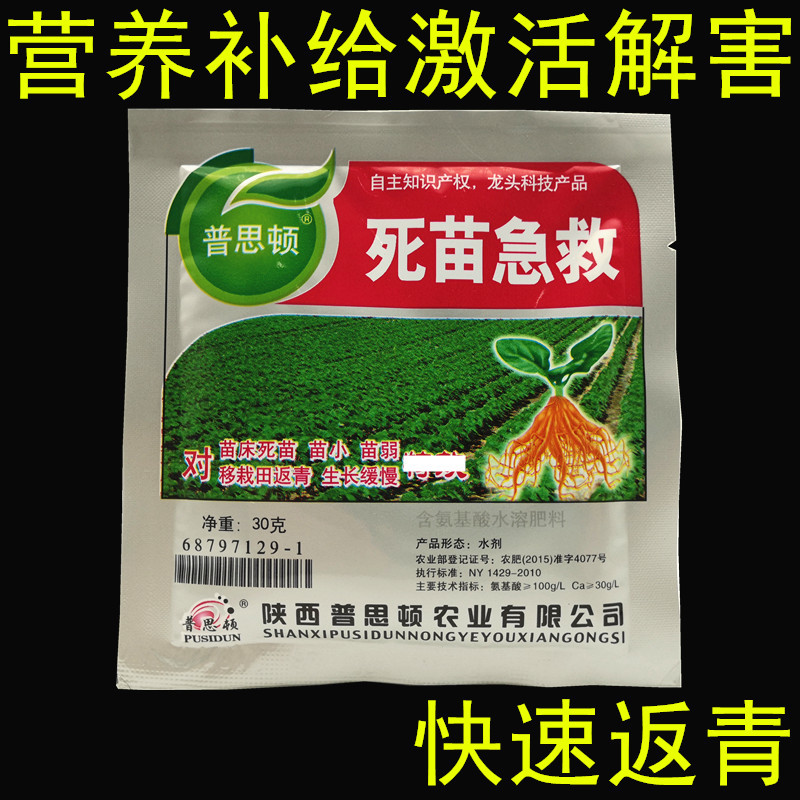 first aid Botany first aid Seedbed Yellow leaves Rotten roots withered Pu stable