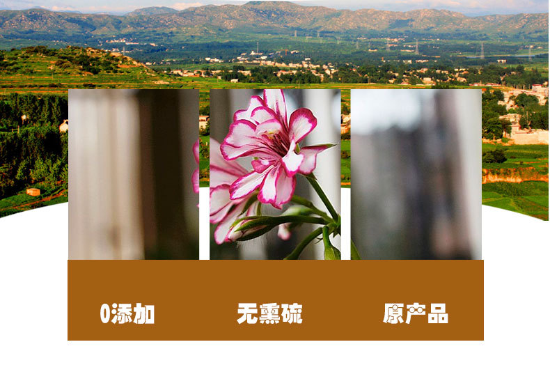 Tian Kui Zi (Semiaquilegia adoxoides) — Dried Bulk Herb, Clean & New-Crop quality and texture