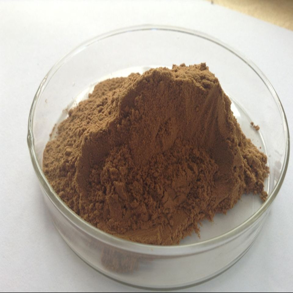 natural Respiratory Tract Antibacterial raw material Botany extractive Radix extractive