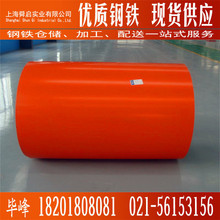 䓴utɫ TӲ PEt ͸־