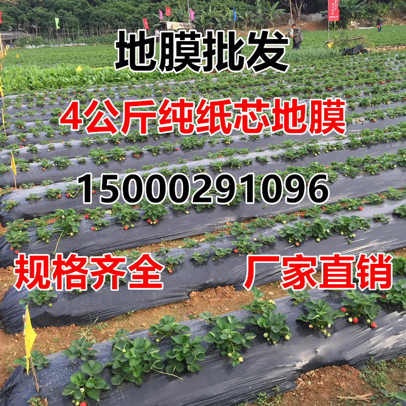 wholesale Agriculture Plastic Black and white Film Weed Film engineering Vegetables Fresh keeping heat preservation Film Agriculture