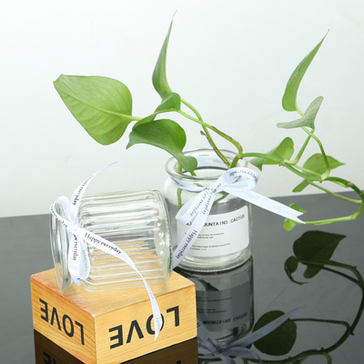 创意小玻璃 蜡烛台 花瓶 迷你透明宽口客厅摆件器皿 蜡烛罐|ms