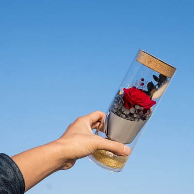 Spend eternity Wishing bottle goddess Valentine's Day originality gift manual make Fresh keeping rose Luminous bottle Glass cover