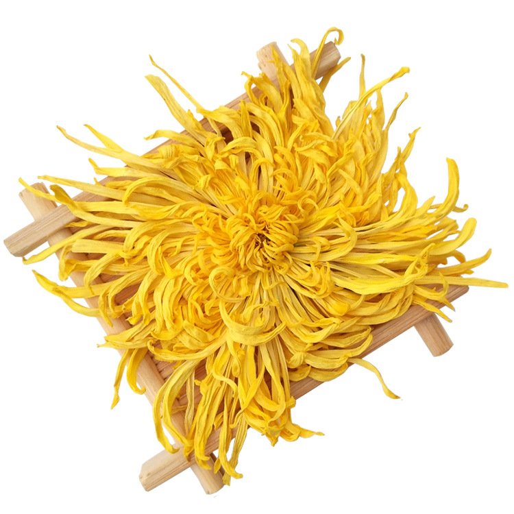 Watkins Super Large New flowers Huangshan Chrysanthemum Tea A Watkins Yellow chrysanthemum Manufactor wholesale