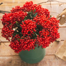 红果子圣诞仿真浆果 塑料花仿真花假花 红色发财果仿植物浆果批发