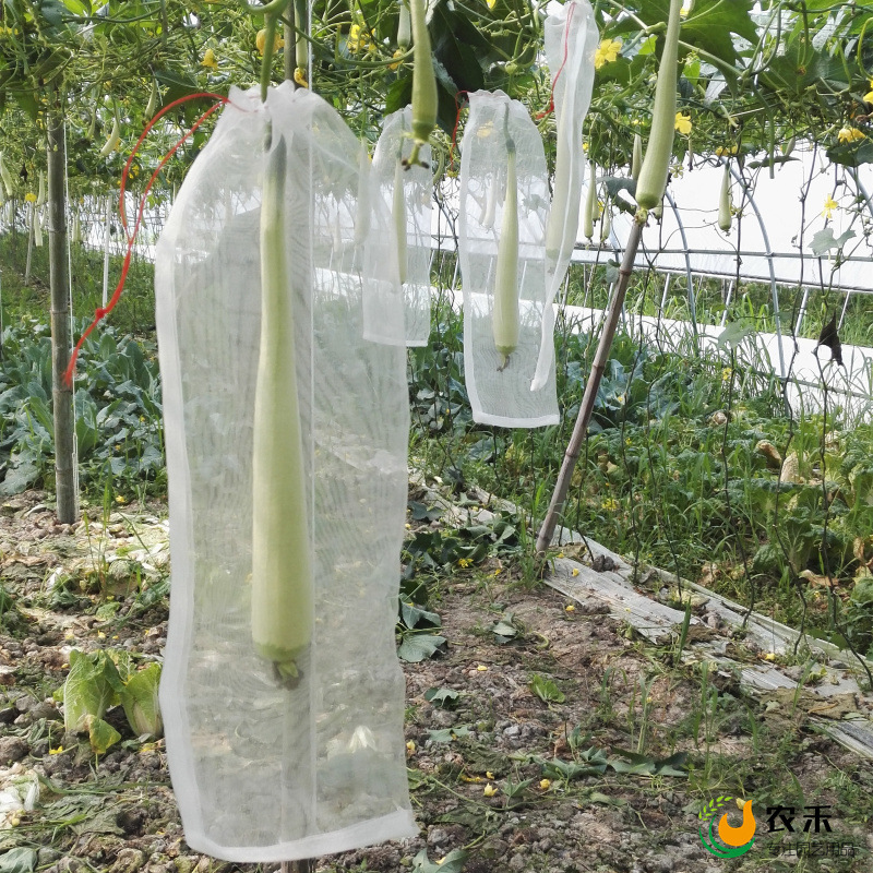 水果pe防虫网尼龙网套袋水稻浸种催芽袋网袋种子袋尼龙袋纱网袋