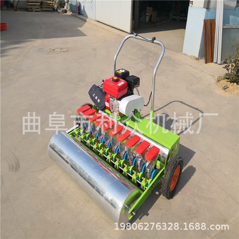 郊区多行菜籽育苗机 多行菜心播种机