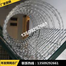 �S�ҬF؛ֱ�N��Ƭ�̾� ����\��Ƭ�̾W 50cmֱ�����I������ȫ�K