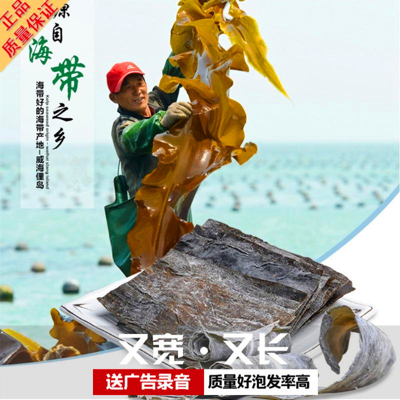 厂家直销南海海带王 优质散装海带皮 50斤/袋 跑江湖地摊热卖货源
