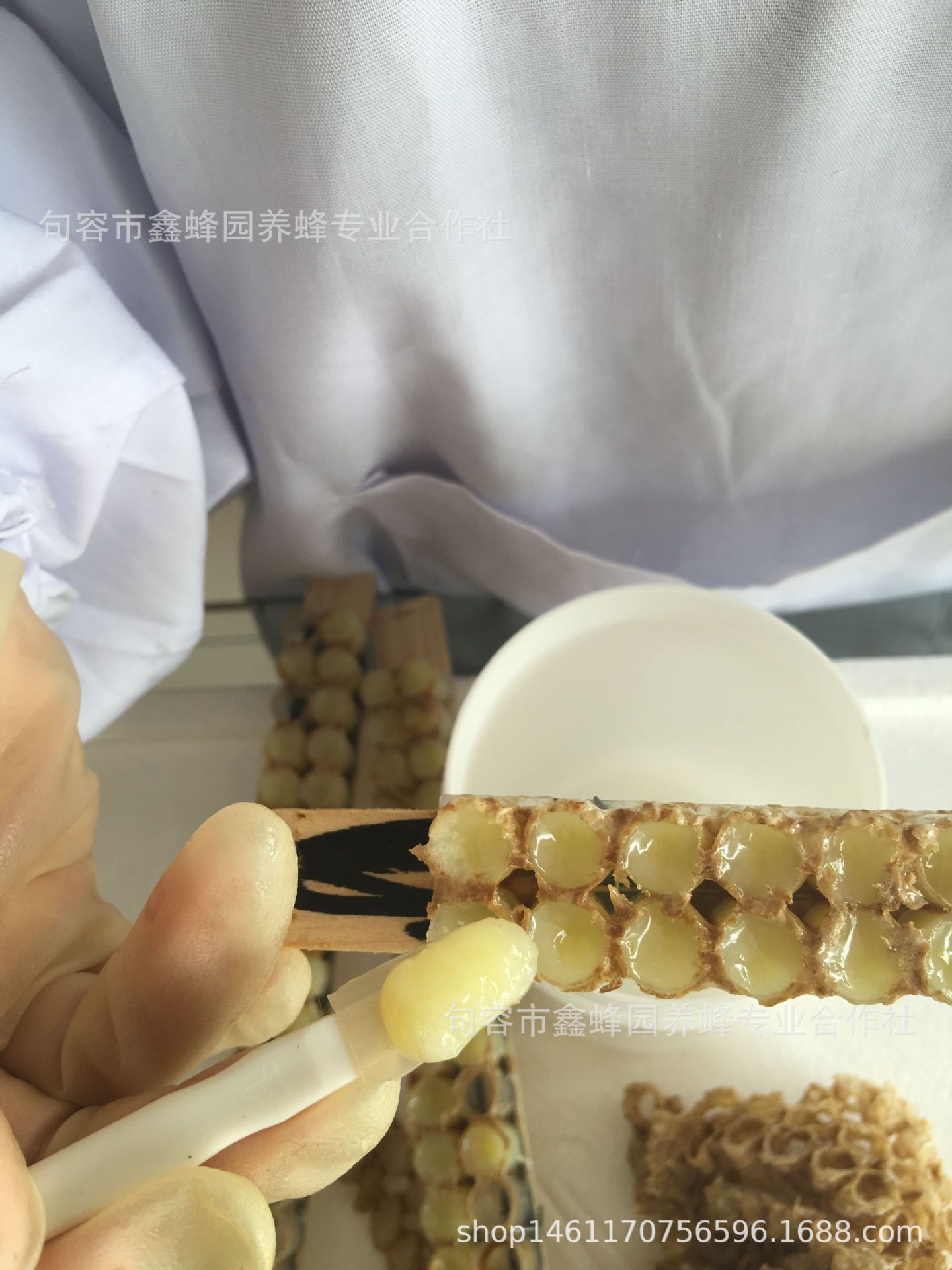 QQ图片20181125204733