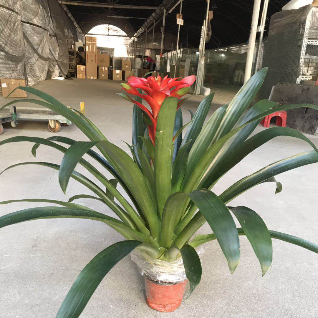 微信图片_20181218140258