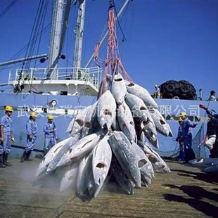 l������~�ӹ��O�� ���~ȥƤȥ�ǙC �Ž��~ĥ���O�� �\�н��N��