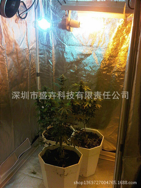 2429317884_344071377