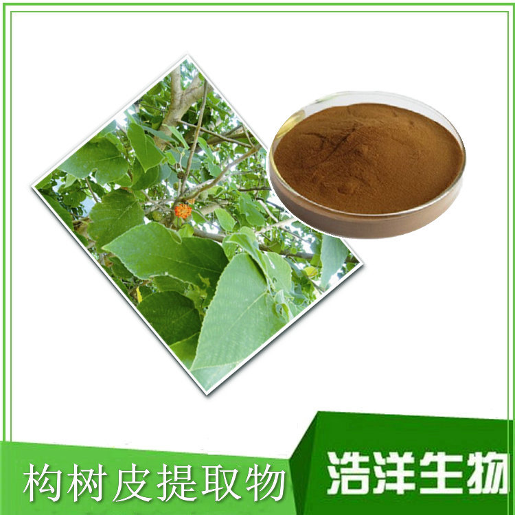 构树浆,构树,大构树(第2页)_大山谷图库