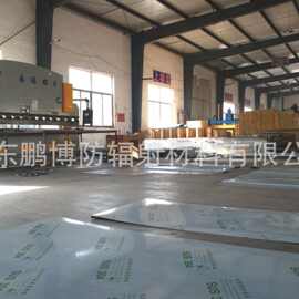 厂家直销CT室辐射防护门 放射科射线防护铅门 量尺做铅门