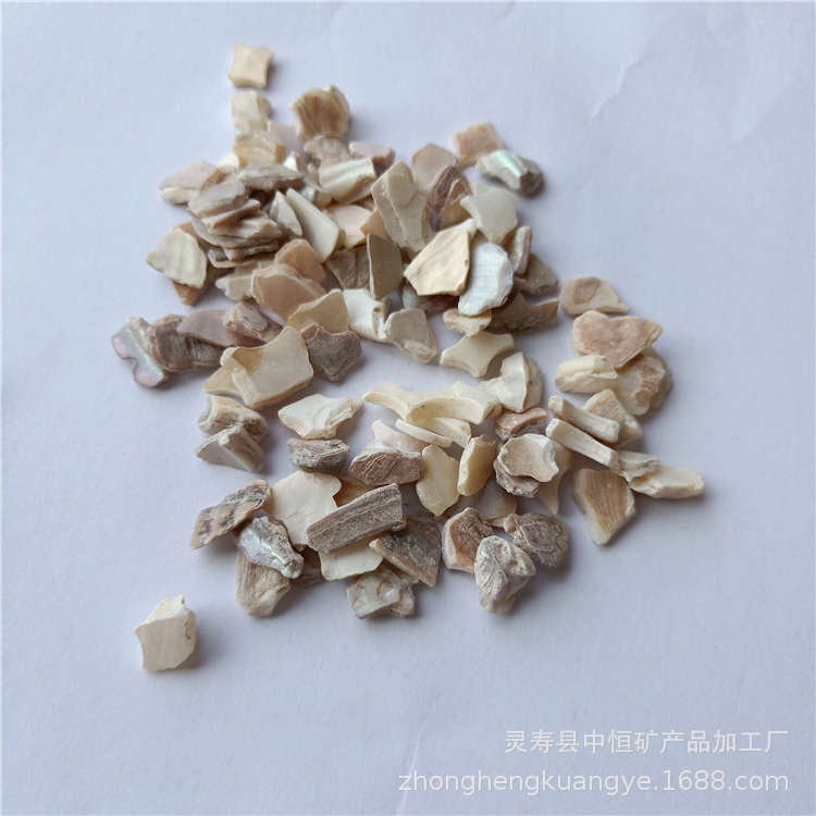 椭圆形贝壳碎片 乳白色不规则方形贝壳片 造景点缀装饰用贝壳砂