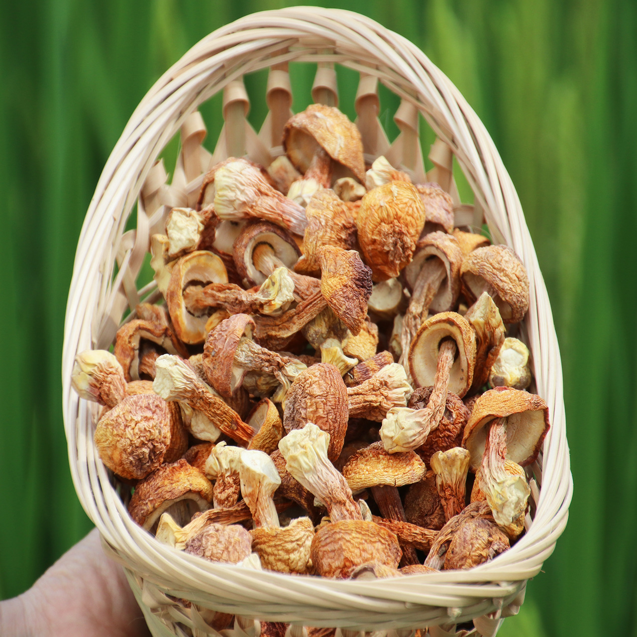 新货食用菌挑选姬松茸干货 巴西菇袋装250g批发 特产食用菌礼品-阿里巴巴