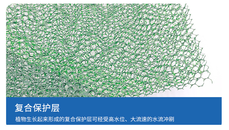 三維植被網(wǎng)_11.jpg