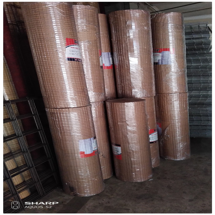 【现货供应】不锈钢钢丝网  铁丝网 304不锈钢焊网 镀锌钢丝网