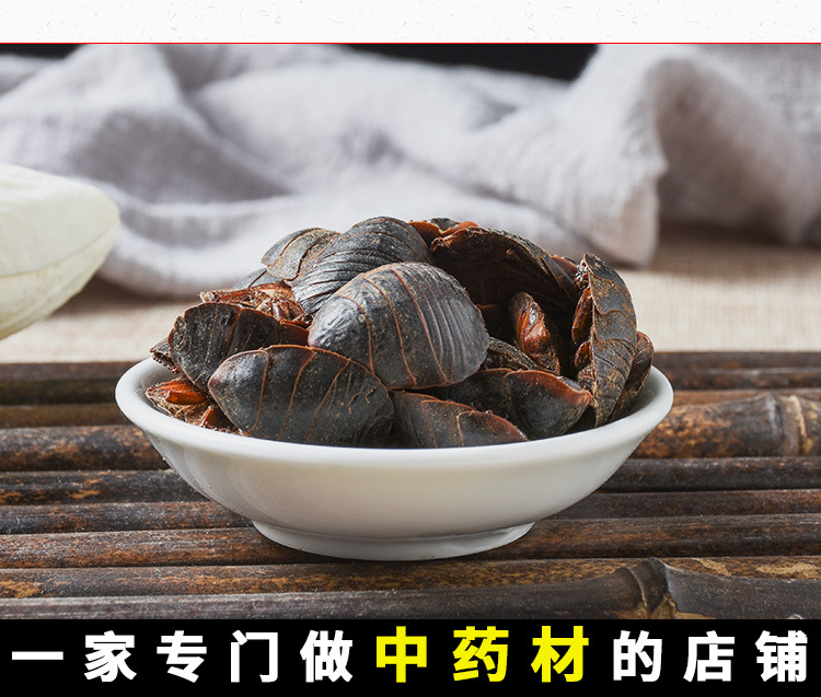 Tu Bie Chong (Eupolyphaga sinensis) — Dried Ground Beetle Herb, Food-Herb Decoction Material key features