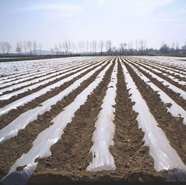 农用薄膜;包装薄膜;橡塑代理加盟