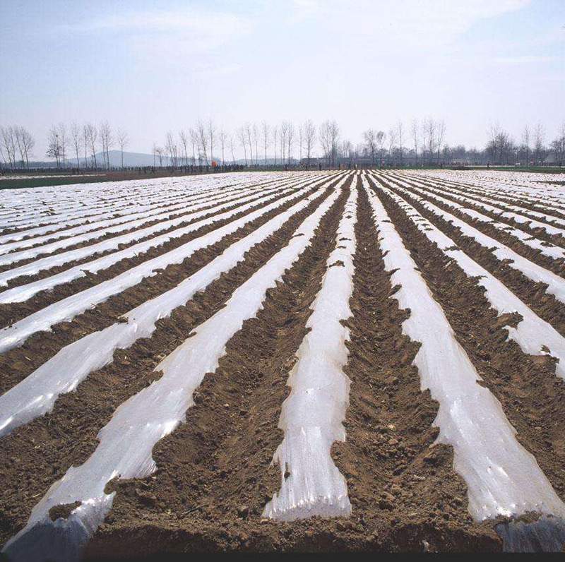 供应地膜聚乙烯透明地膜降解地膜黑色地膜黑白地膜