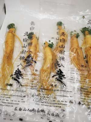 产地直销 鲜参 长白山鲜人参 品种齐全 新货上市 泡酒大补