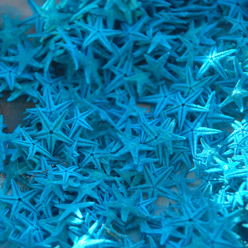 染色海星主图10