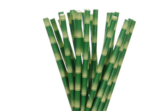 il_570xN.929296052_pji6