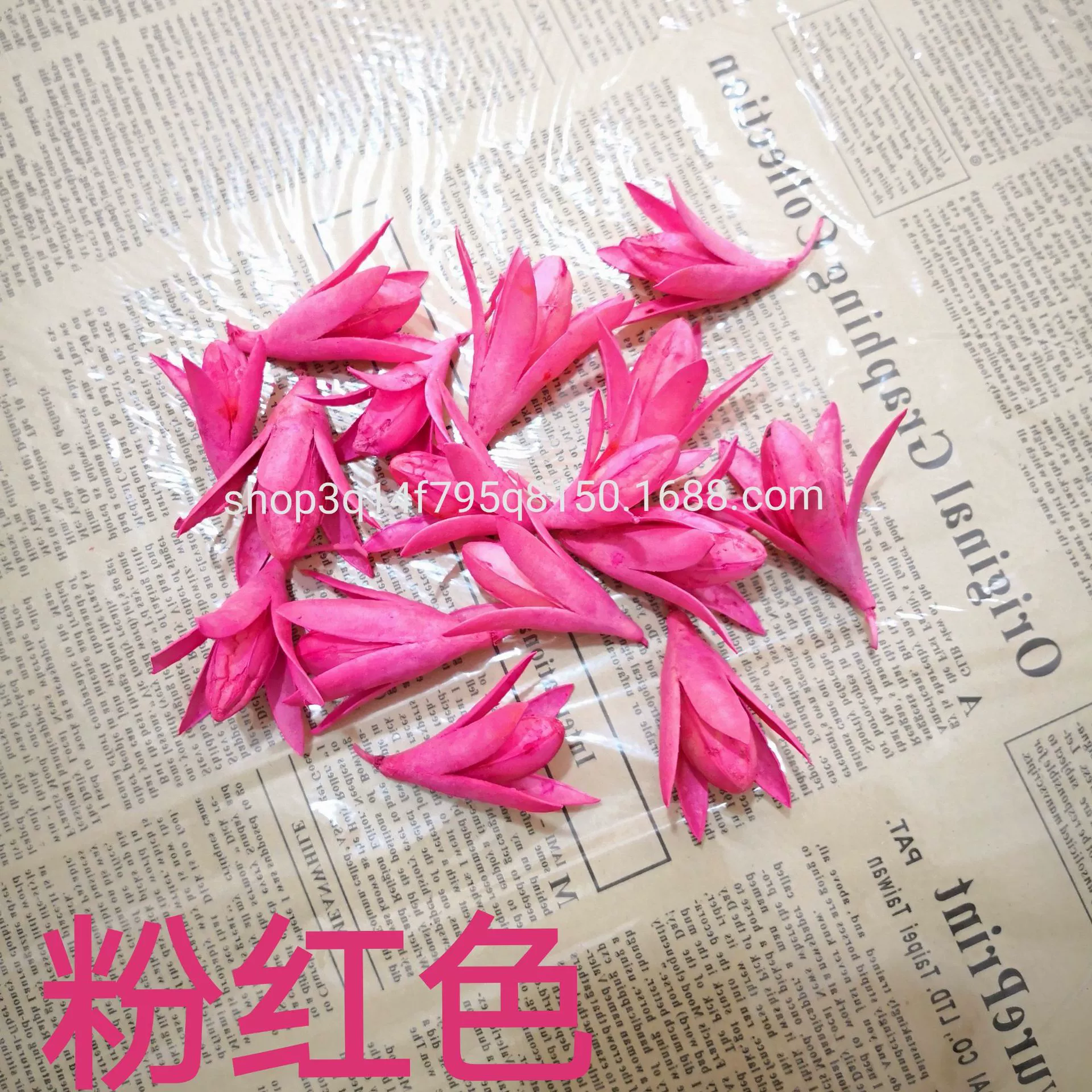 [Magnolia] Manufacturer supply naturally toon fruit shell Magnolia dried magnolia flower DIY handmade flower combination flower material