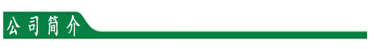 公司简介