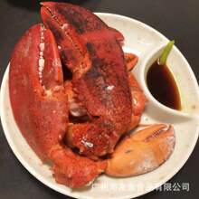 批发网红食材波士顿龙虾鳌波龙钳  波龙鳌活冻大龙虾钳大钳子