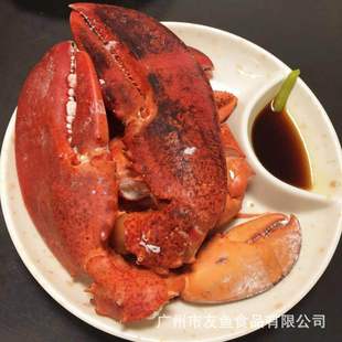 ���l�W�tʳ�Ĳ�ʿ�D���r�������Q  ��������������r�Q���Q��