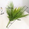 Simulation green iron tree potted bouquet 10, 10, fresher gum, simulation iron leaf simulation plant wall