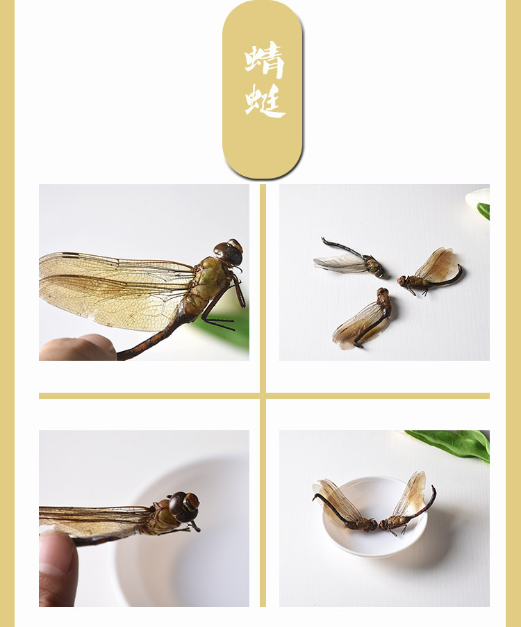 Dried Green Dragonfly (Anisoptera) — Whole Clean Edible Insect Herb 500g key features