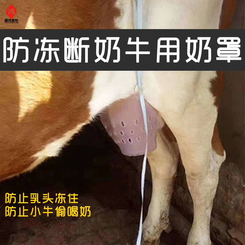 犊牛断奶器可替代牛鼻刺牛用奶罩母牛乳罩包邮小牛忌奶器畜牧养殖