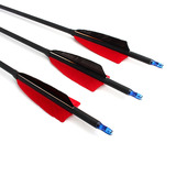 Лук и стрелы, оборудование, карбоновая стрела, олимпийский лук, стрельба из лука