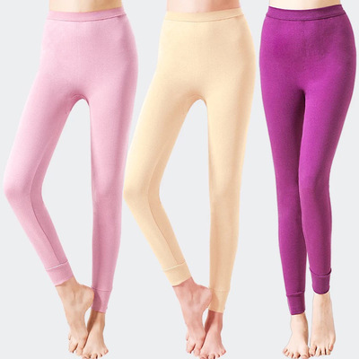 秋冬季修身女士纯棉棉毛裤单体裤打底裤衬裤 秋衣秋裤批发女秋裤|ms