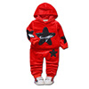 Children's set with hood, long sleeve, children's clothing, wholesale