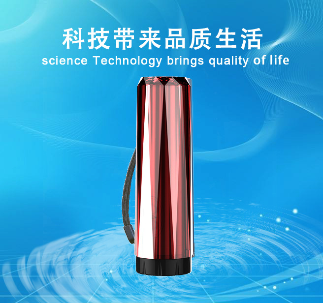 电动洁身器 女性妇洗器便捷式手持智能冲洗器|ru