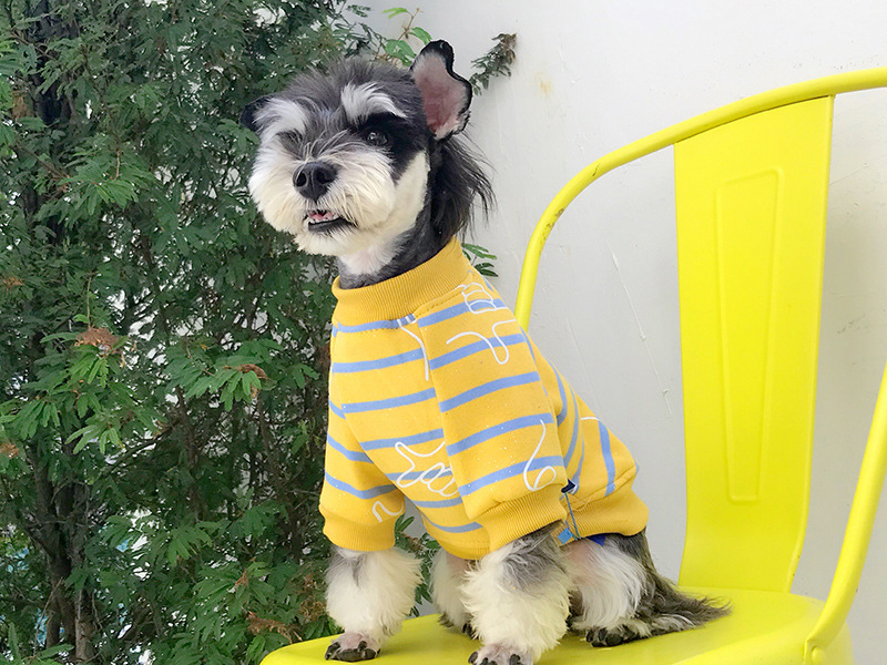 size small dog clothes