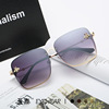Fashionable sunglasses, 2023 collection, European style