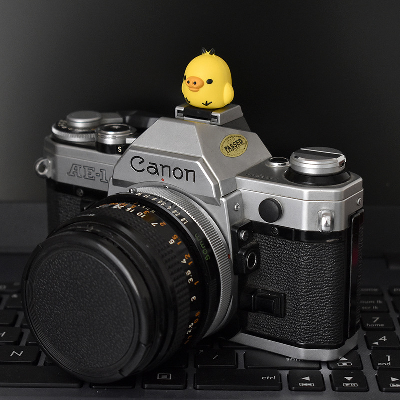 猪小鸡热靴盖 (8).JPG