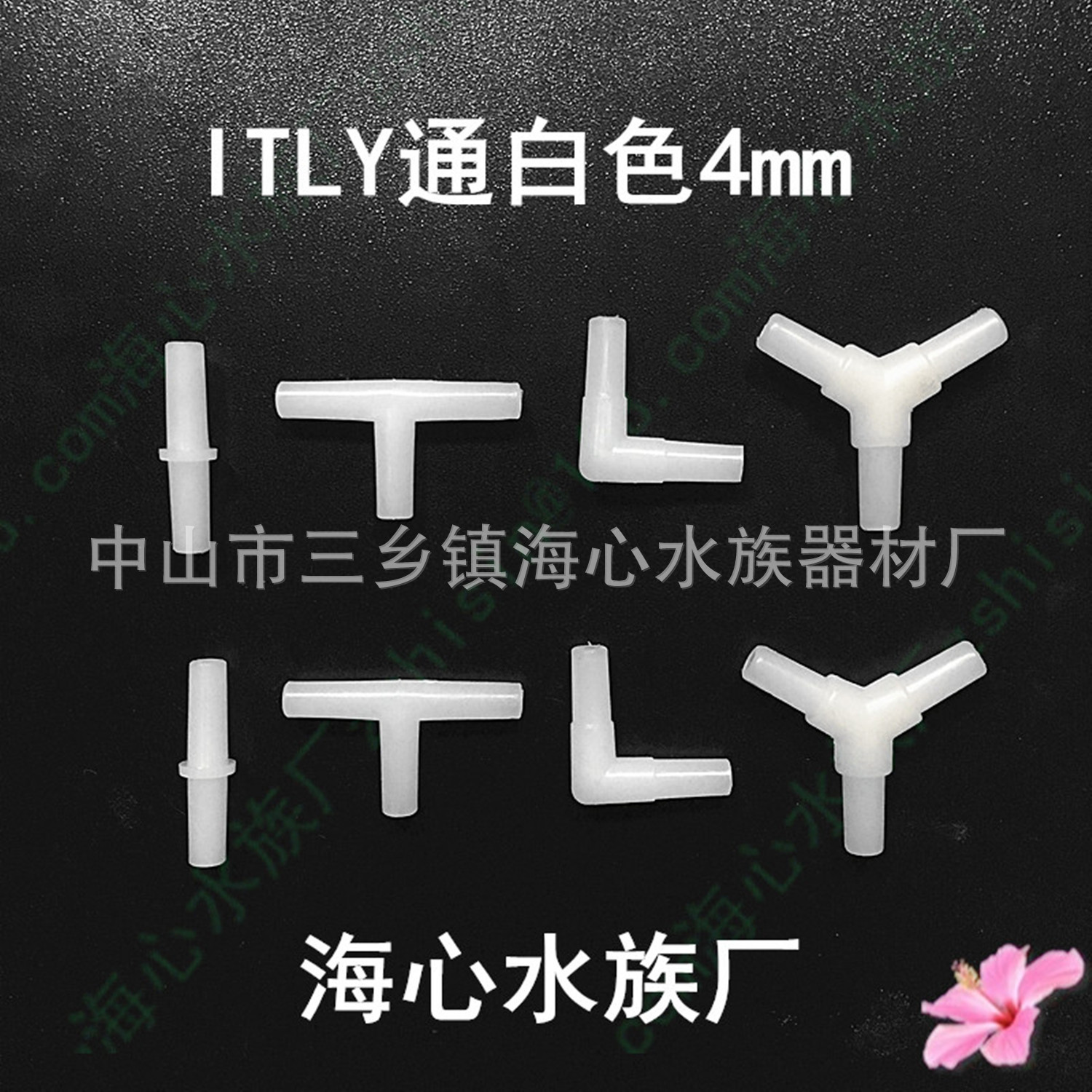 ITLY白色_.jpg