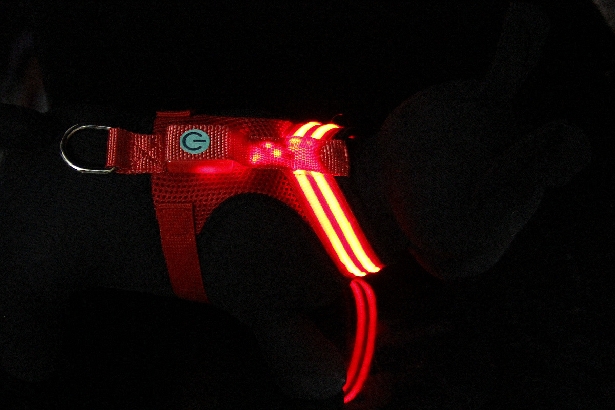 双光纤发光胸背带1200 (32).jpg