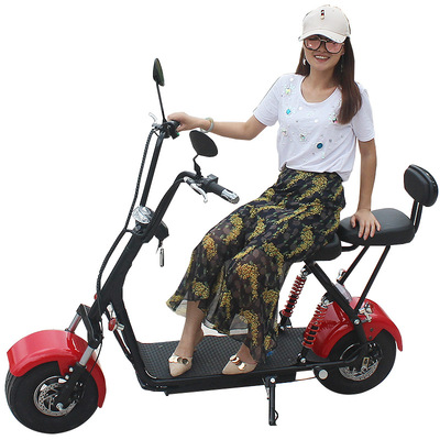 City Halley Electric Bicycle City Electric vehicle adult a storage battery car Electric skateboard Lithium car