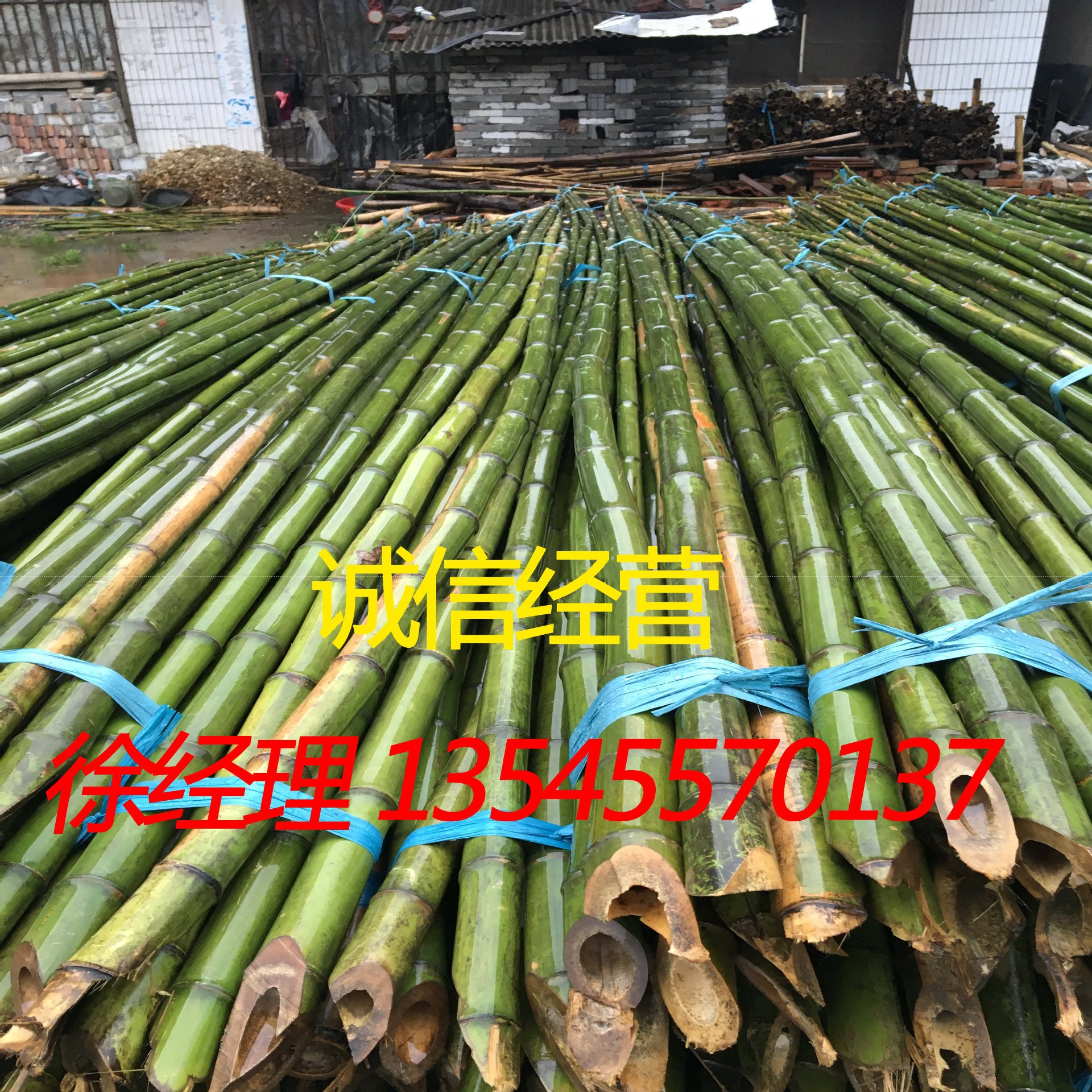 厂家供应 菜架竹 药架竿 麻竹 小山竹 搭菜 搭篱笆架专用-阿里巴巴