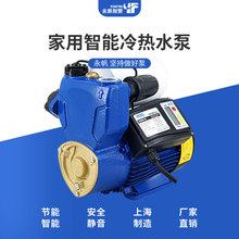 AOG智能自吸泵 小型家用220V全自動增壓泵 高揚程單相井用抽水泵