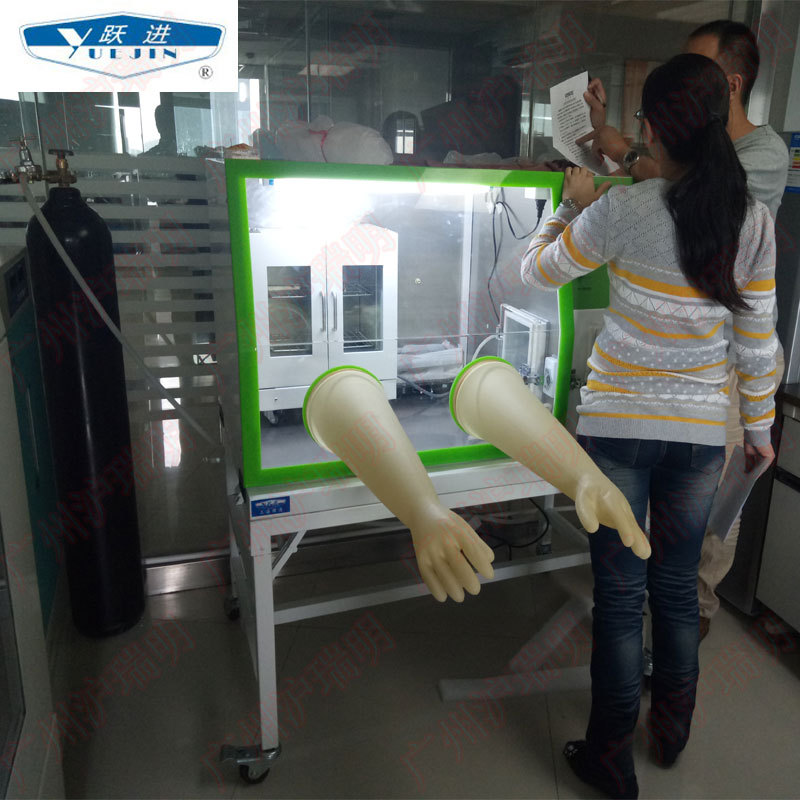 YQX-II厌氧培养箱(恒温厌氧环境实验)上海跃进牌