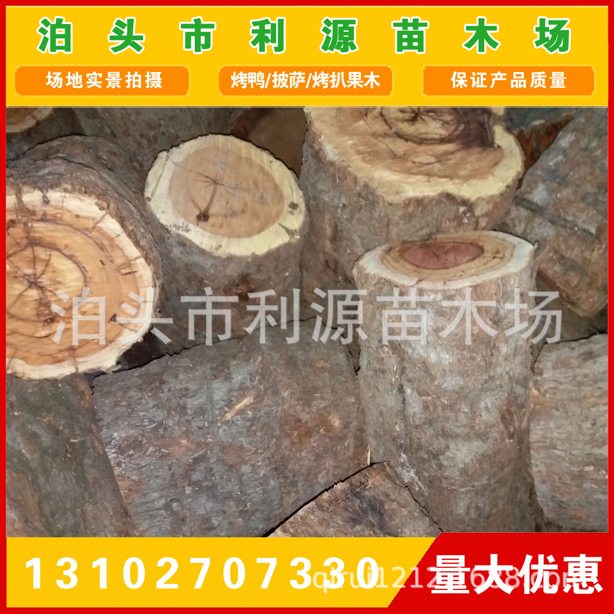常年供应枣木 枣树木直径25-50公分 枣木 雕刻枣木 枣木墩用料-阿里巴巴
